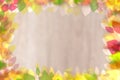 Flower frame template. Abstract fall colors background texture with a frame of colorful leaves with space for greetings, lettering Royalty Free Stock Photo