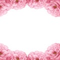 Flower frame template
