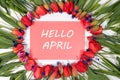 Flower frame of tulips with the inscription on red Hello April Royalty Free Stock Photo