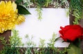 Flower frame with white Blank Paper on Wood Background Royalty Free Stock Photo