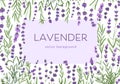 Flower framed card design. Background with lavender blooms, branches. Romantic banner template with delicate purple