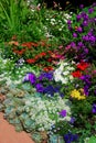 Flower Garden Royalty Free Stock Photo