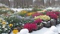 Flower garden across the world in winter