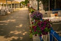 Flower garden on a beach road on lake of Ada Ciganlija, Belgrade