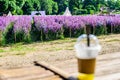 Flower garden with beverage in plastic glass Royalty Free Stock Photo