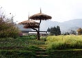 The flower garden at Doi Ang Khang ,Chiang Mai Province, Thailand; Doi Ang Khang is a mountain in Fang District