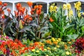 Flower Garden in Downtown Delavan, WI