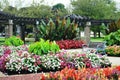 Flower Garden, Eichelman Park, Kenosha, Wisconsin Royalty Free Stock Photo