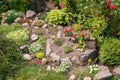 Flower garden with fresh plants and stones Royalty Free Stock Photo
