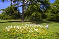 Flower garden in Greenwich park, London