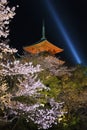 Flower garden in Kiyomizu Temple in Kyoto Japan Royalty Free Stock Photo