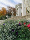 Flower garden with pink and blue flowers on the background of large stone vases, Elaginoostrovsky Palace, autumn trees and sky Royalty Free Stock Photo