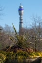 Formal flower gardens in Regent`s Park, London UK, photographed in springtime with iconic BT Tower in the background. Royalty Free Stock Photo