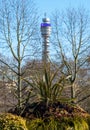 Formal flower gardens in Regent`s Park, London UK, photographed in springtime with iconic BT Tower in the background. Royalty Free Stock Photo