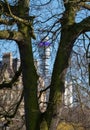 Formal flower gardens in Regent`s Park, London UK, photographed in springtime with iconic BT Tower in the background. Royalty Free Stock Photo
