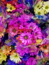 Flower Garden Series: Gerbera Daisy Bouquet