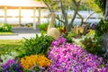 Flower garden is shaped peacock Royalty Free Stock Photo