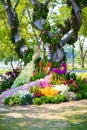 Flower garden is shaped peacock Royalty Free Stock Photo