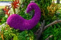 Flower garden is shaped peacock Royalty Free Stock Photo