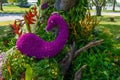 Flower garden is shaped peacock Royalty Free Stock Photo