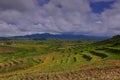 Flower Garden of Silancur Wonderful Magelang Indonesia Royalty Free Stock Photo