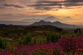 Flower Garden of Silancur Wonderful Magelang Indonesia Royalty Free Stock Photo