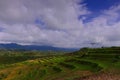 Flower Garden of Silancur Wonderful Magelang Indonesia Royalty Free Stock Photo