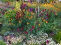 Flower Garden in Southern California