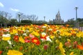 Flower garden at Tokyo disneyland