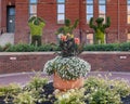 Flower garden and topiary featuring three figures creating `OSU` with their arms in the formal gardens of OSU in Stillwater.
