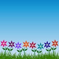 Flower garden vector pattern floral nature background design in spring or summer with colorful flowers green grass leaves and blue