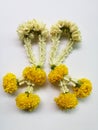 Flower garland Royalty Free Stock Photo