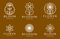 Flower in geometric linear style vector emblems set, blossoming flower hotel or boutique or jewelry logos collection, sacred