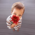 Flower, gift and portrait of a boy with a present and above for mothers day with a smile in a home. Happy, celebration Royalty Free Stock Photo