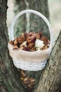 Flower girl basket