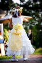 Flower girl at a wedding