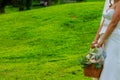 Flower girl at a wedding holding a basket of flowers Royalty Free Stock Photo