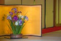 Flower of goldfish and iris