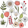 Flower graphic design