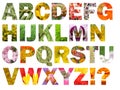 Flower grass alphabet