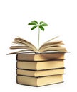 A flower growing out of an open book Royalty Free Stock Photo