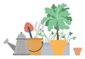 Flower Growing in Pot Watering Can and Pots Vector Royalty Free Stock Photo