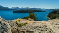 Flower that grows on a rock with a mountain range, a lake and a wooded island in the background.