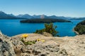 Flower that grows on a rock with a mountain range, a lake and a wooded island in the background.