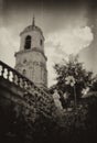 The flower grows on the territory of the Vladimir Church in Bykovo.