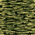 Camouflage Pattern Military Green Beige - Vector