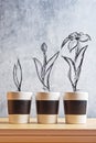 Flower Growth stages sketch Royalty Free Stock Photo