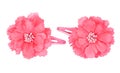 A flower hair clip Royalty Free Stock Photo