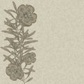 Flower hand drawn flax background Royalty Free Stock Photo