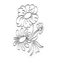 Flower Hand Embroidery floral pattern design Royalty Free Stock Photo